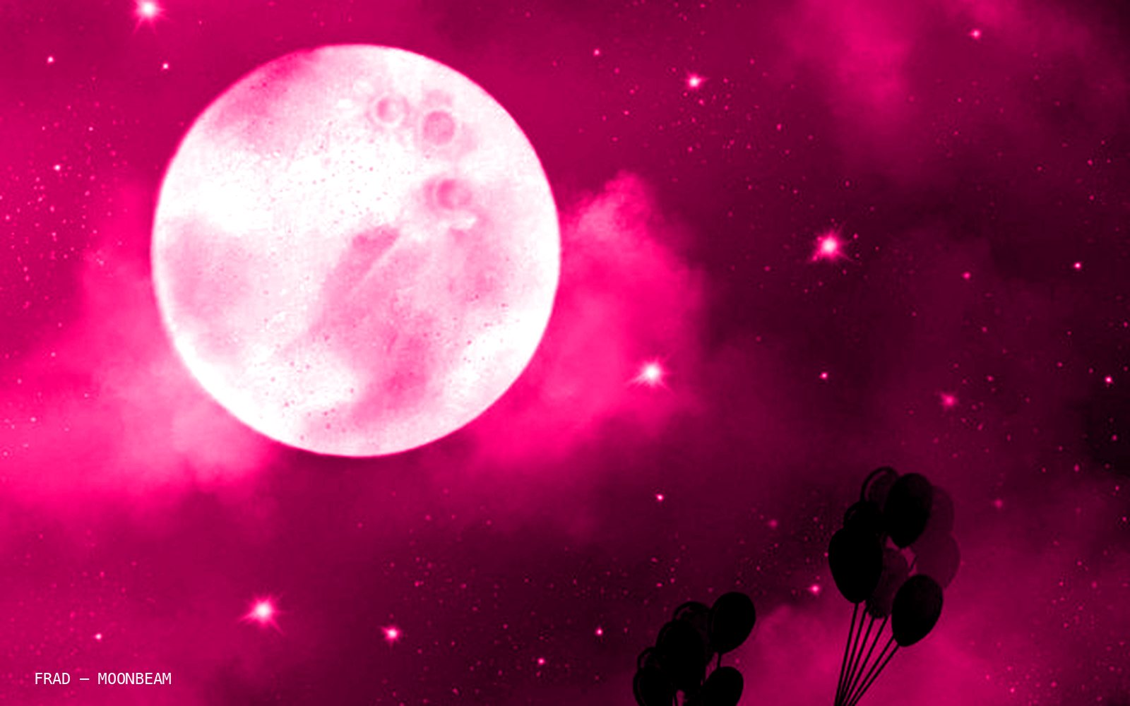 Frad project image 2